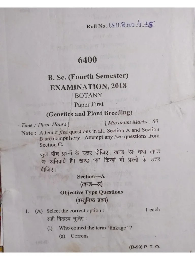 Bsc 1st Semester Maths Question Paper Bsc 1st Year Maths Question Paper 2024 25 Download Pdf - Premium Gradient Art Gallery - Ultra HD
