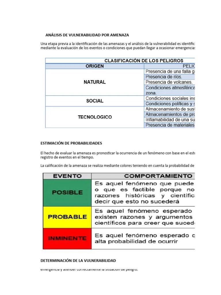Copia De Analisis De Vulnerabilidad - Plantilla | PDF | Riesgo