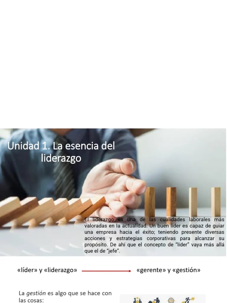 Liderazgo Como Servicio | PDF