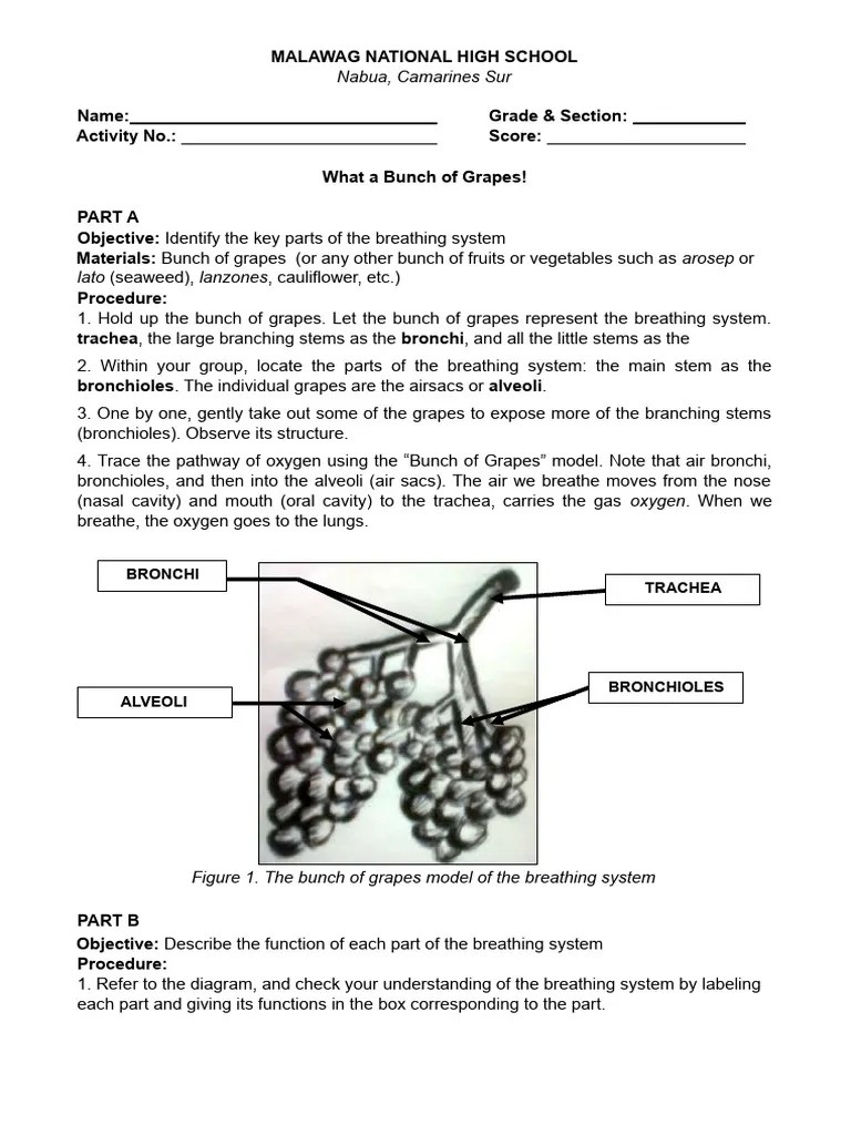 Science 9 activity