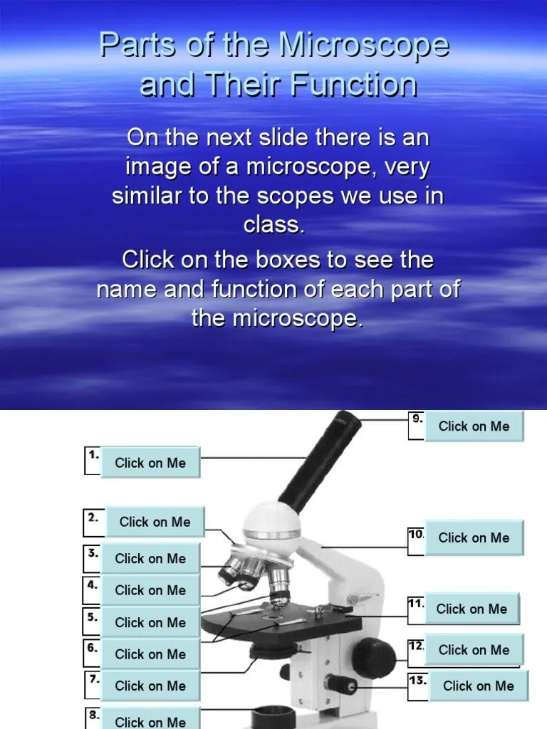 Parts Of The Microscope | PDF | Microscope | Electromagnetic Radiation