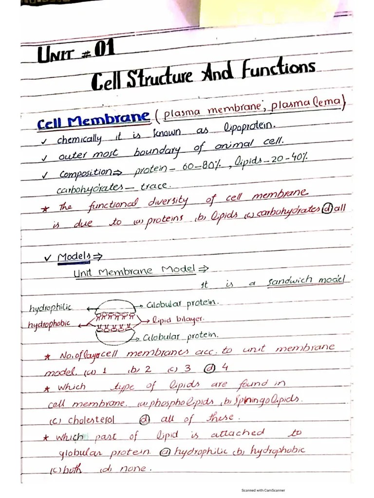 Bio Unit Cell Structure And Functions | PDF