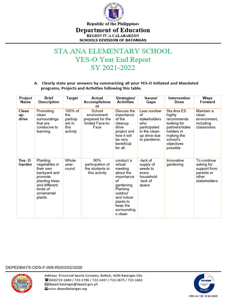 Clean Up Report | PDF