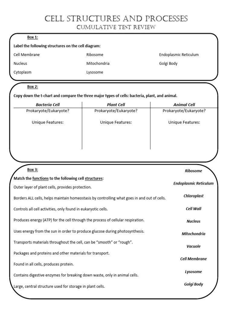 Unit 1 Review | PDF | Cell (Biology) | Eukaryotes
