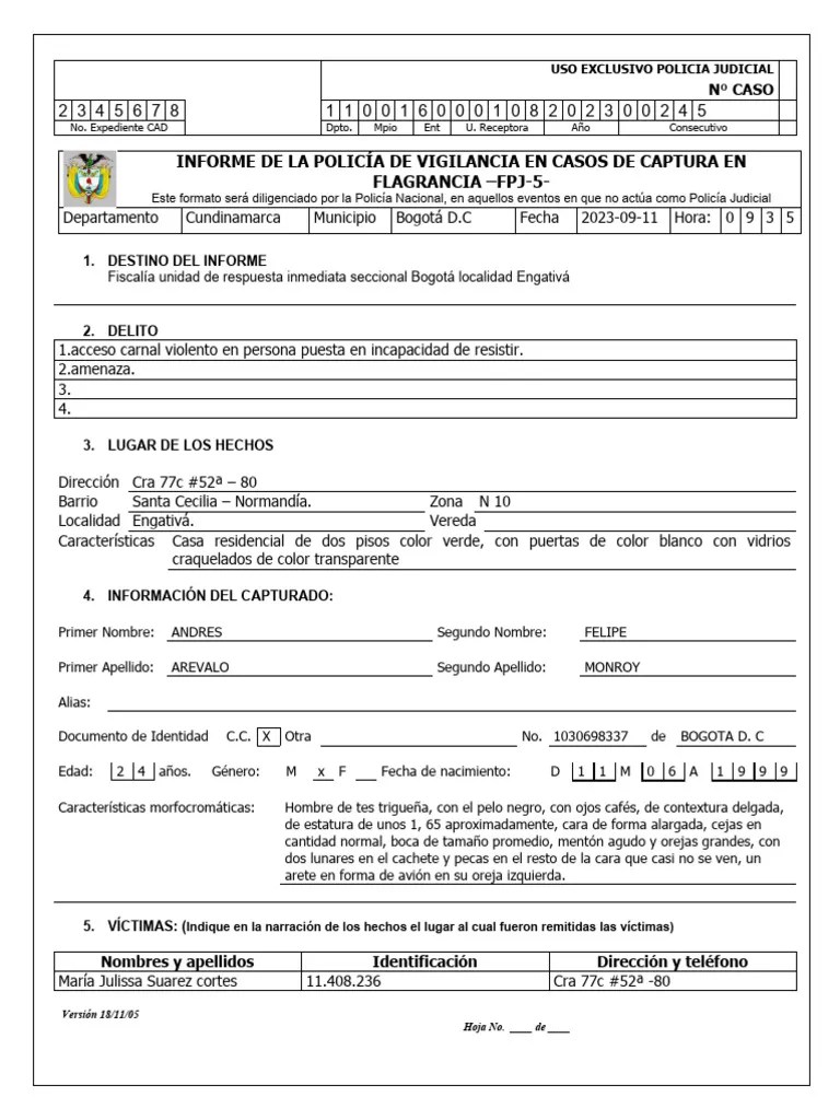 Informe Captura En Flagrancia. | PDF