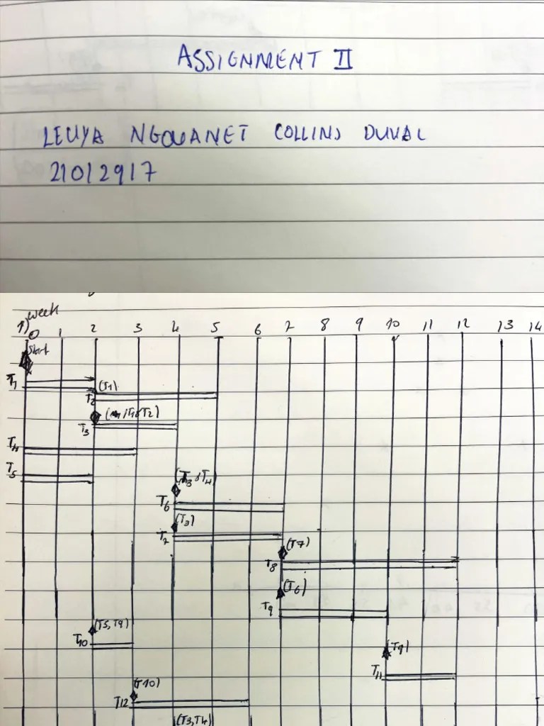 Software Engineering Assignment 2 | PDF