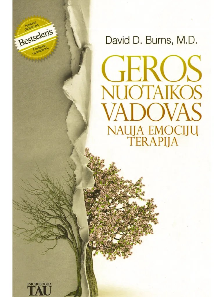 David D. Burns Geros Nuotaikos Vadovas 1 | PDF
