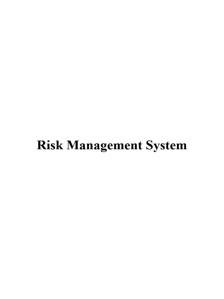Risk Management System | PDF | Risk | Risk Management