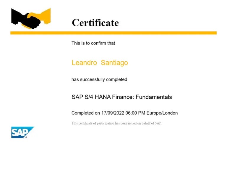 SAP S4Hana Finance Introduction LS | PDF