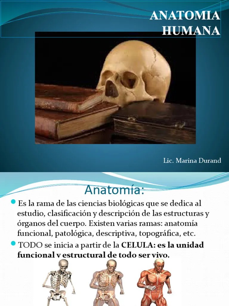 Anatomia Clase Nro 1 | PDF | Términos Anatómicos De Ubicación | Hueso