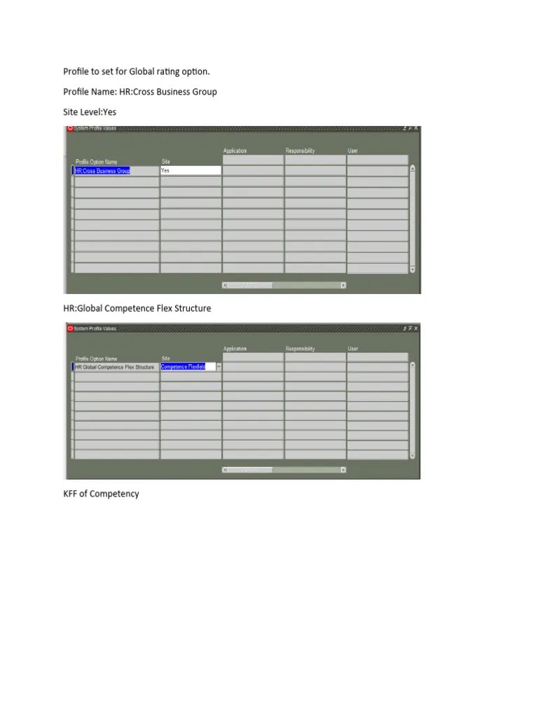 Performance Management Setup | PDF