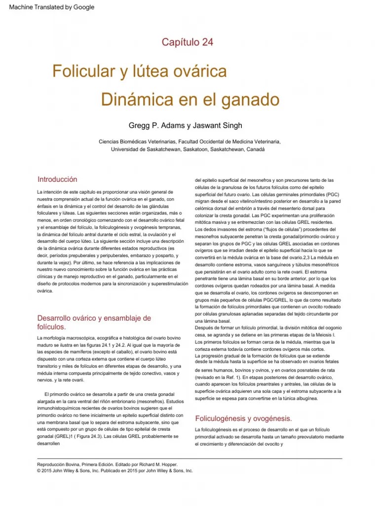 Libro Español | PDF