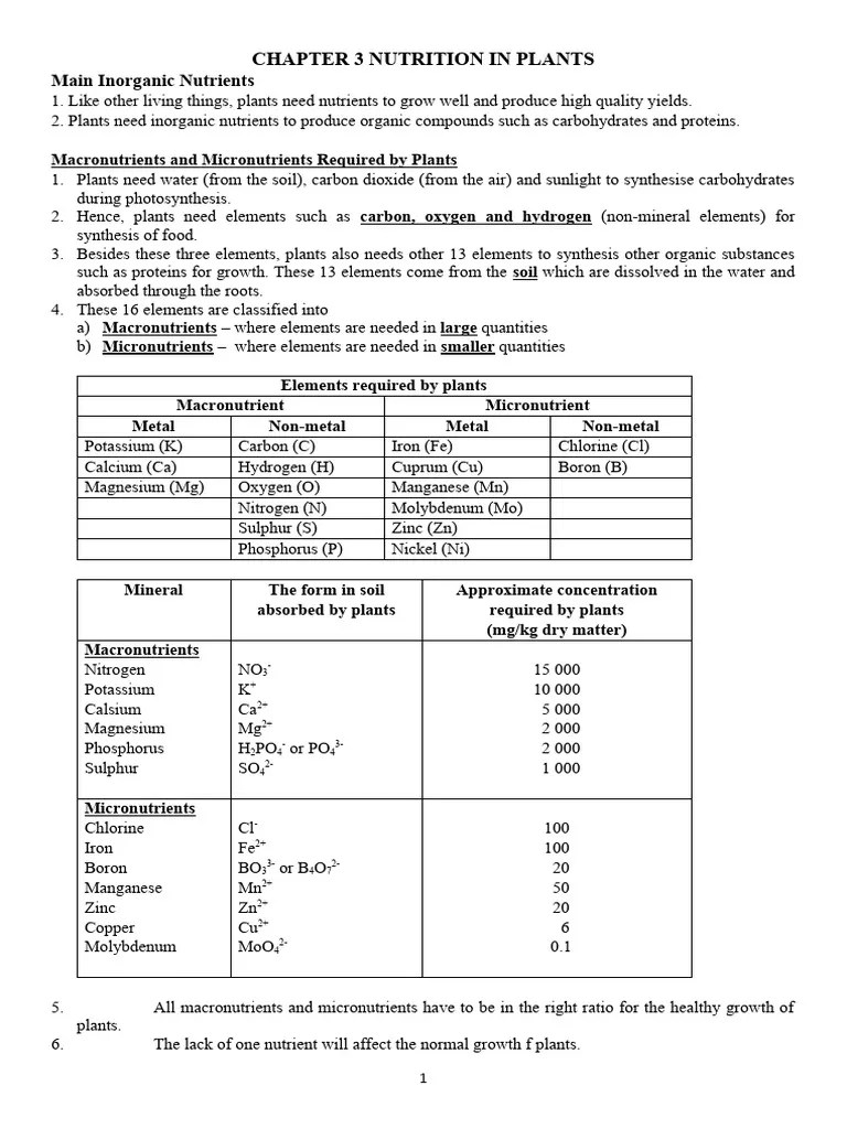 Chapter 3 Nutrition In Plants | PDF | Plant Nutrition | Nutrients
