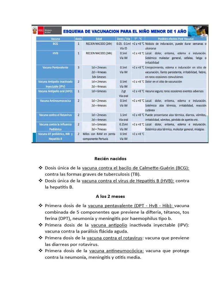 Esquema De Vacunacion | PDF | Vacunas | Virus De La Influenza A Subtipo H1 N1