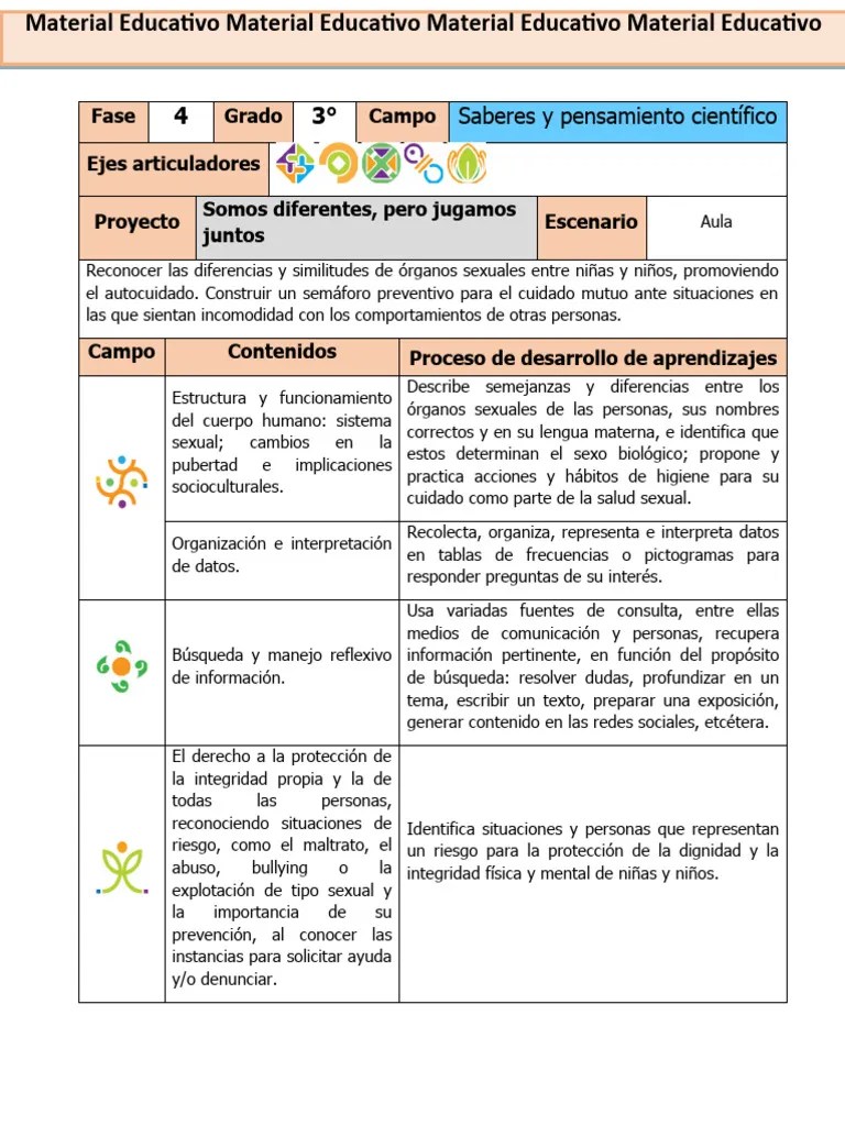 Proyecto 4 - Somos Diferentes, Pero Jugamos Juntos | PDF