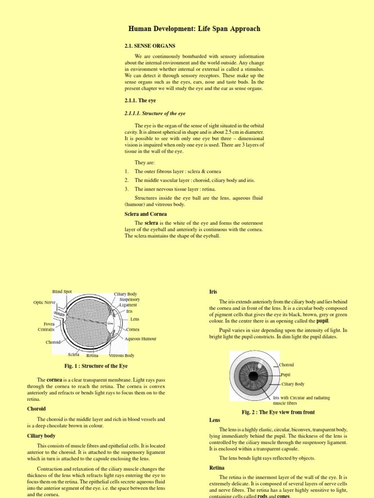 Ch.2 Human Development | PDF