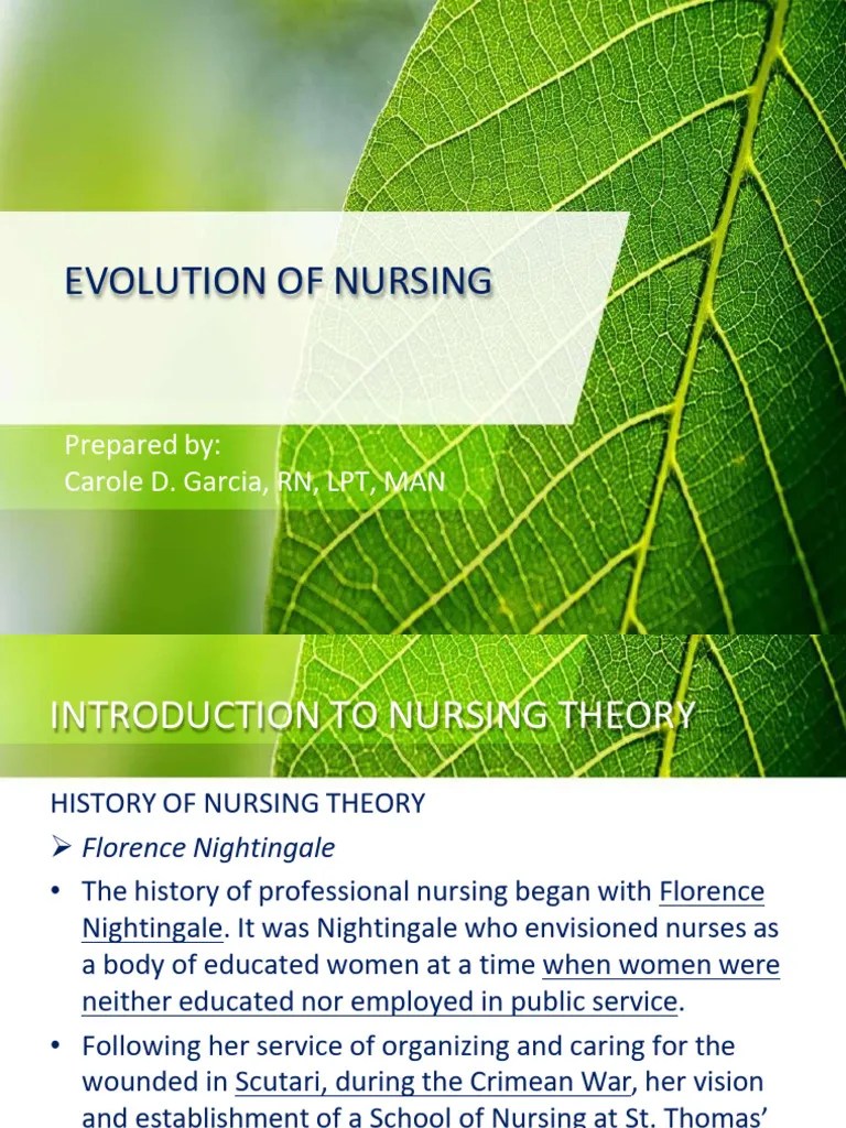 Evolution Of Nursing | PDF