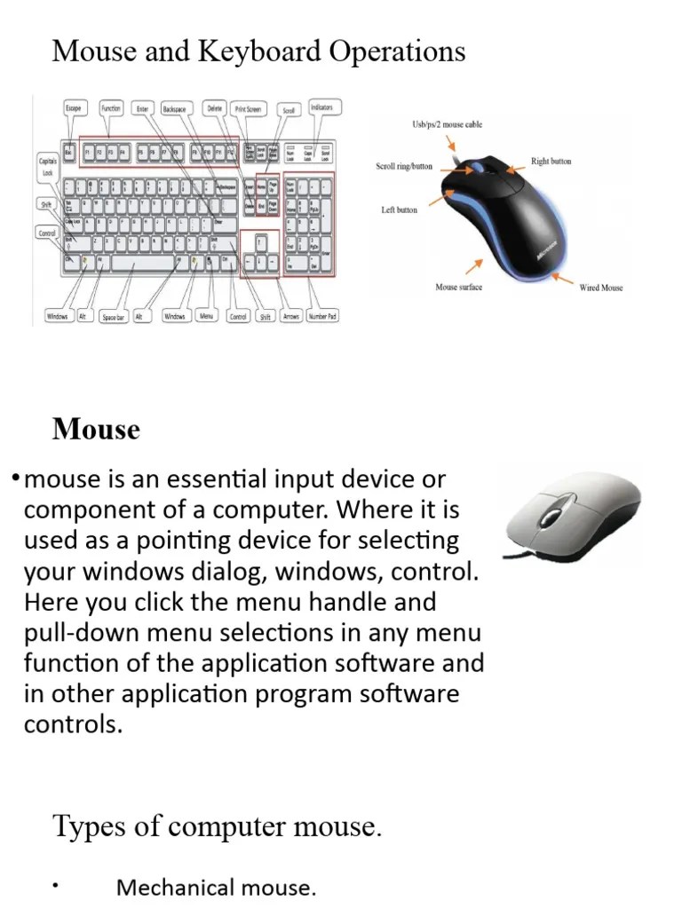 Mouse And Keyboard Operations | Download Free PDF | Computer Keyboard ...
