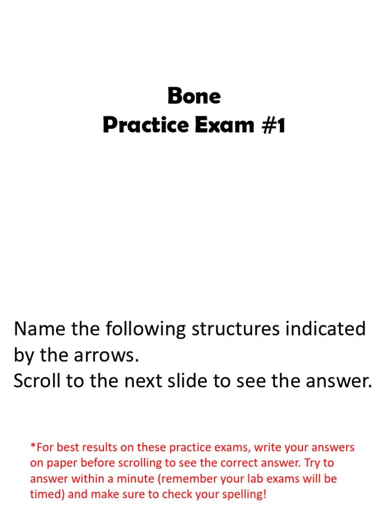 Bone Practice Exam | Download Free PDF | Vertebra | Skeletal System