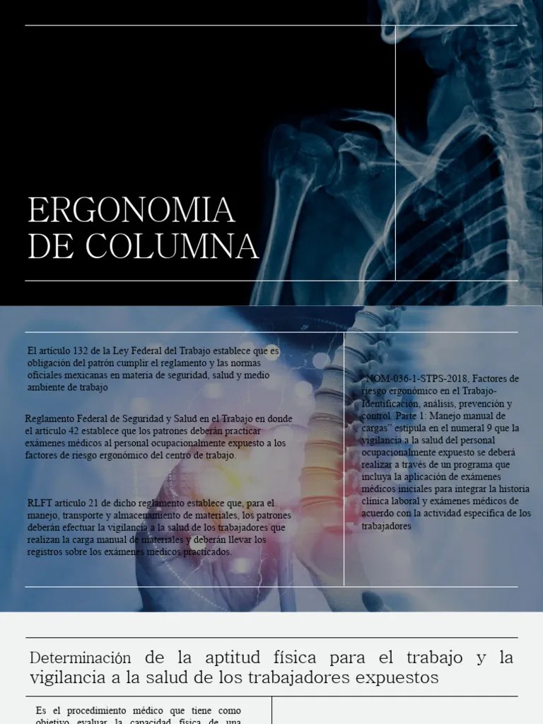 ERGONOMIA DE COLUMNA Higiene Postural | PDF | La Columna Vertebral | Vértebra