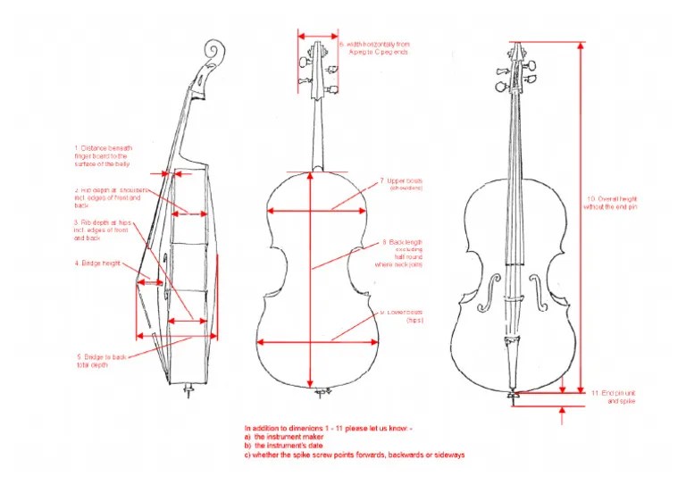 'Cello Diagram | PDF
