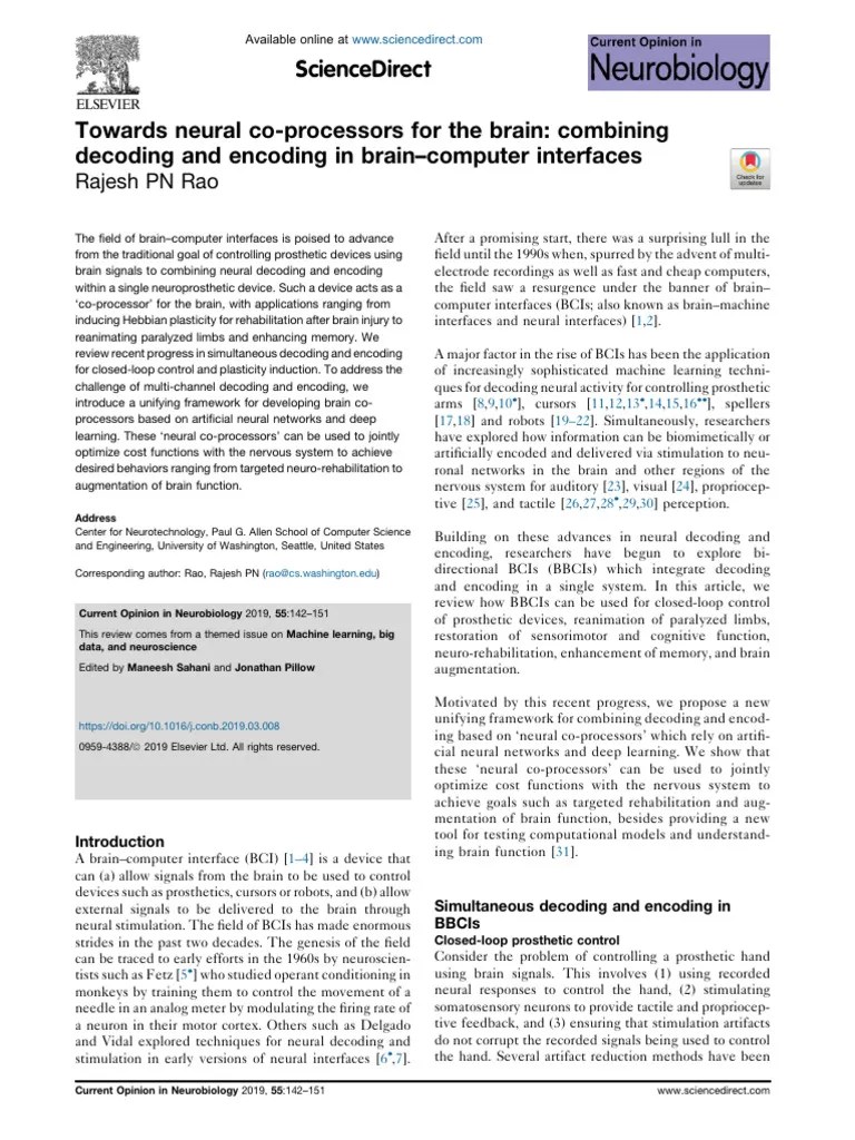 Brain Computer Interface | PDF | Brain | Neuroplasticity