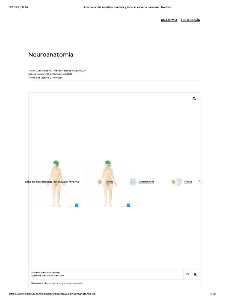 Anatomía Del Encéfalo, Médula Y Todo El Sistema Nervioso - Kenhub | PDF ...