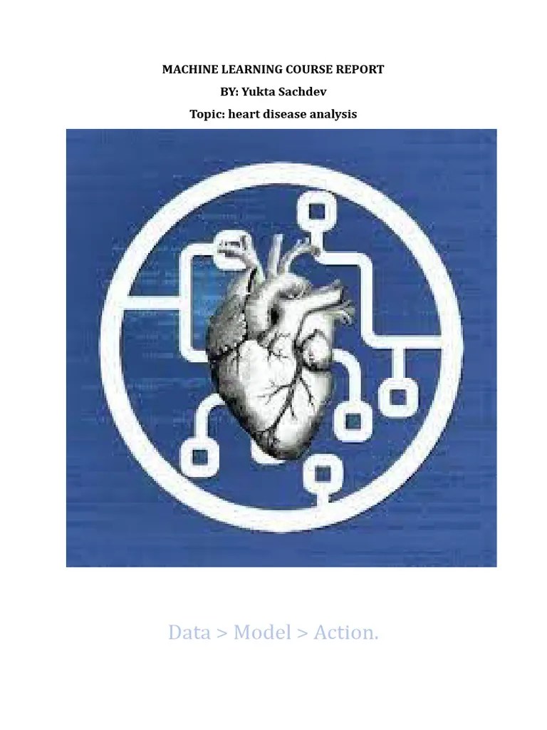 ML Report | PDF | Machine Learning | Statistical Classification