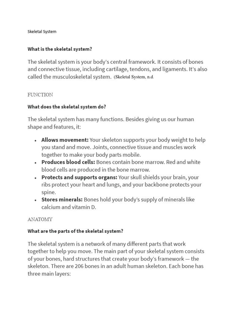 Skeletal System | PDF | Vertebral Column | Skeleton