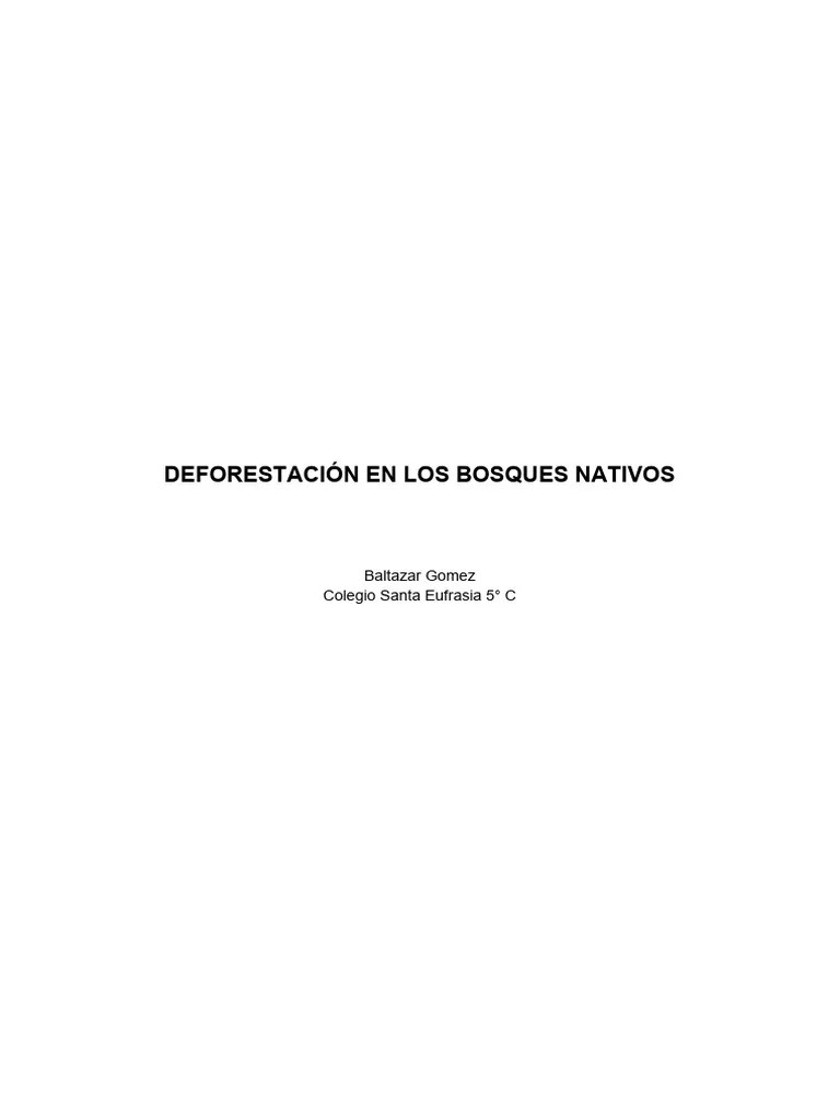 Deforestaion En Los Bosques Nativos | Descargar Gratis PDF | Los ...