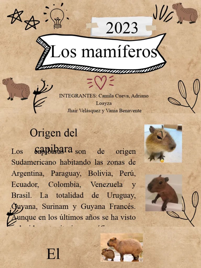 Los Mamiferos | PDF