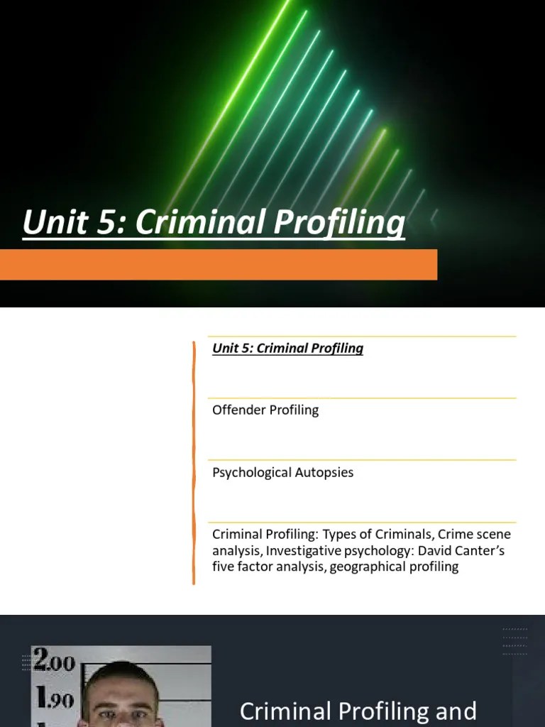 Criminal Profiling | Download Free PDF | Offender Profiling | Serial Killer