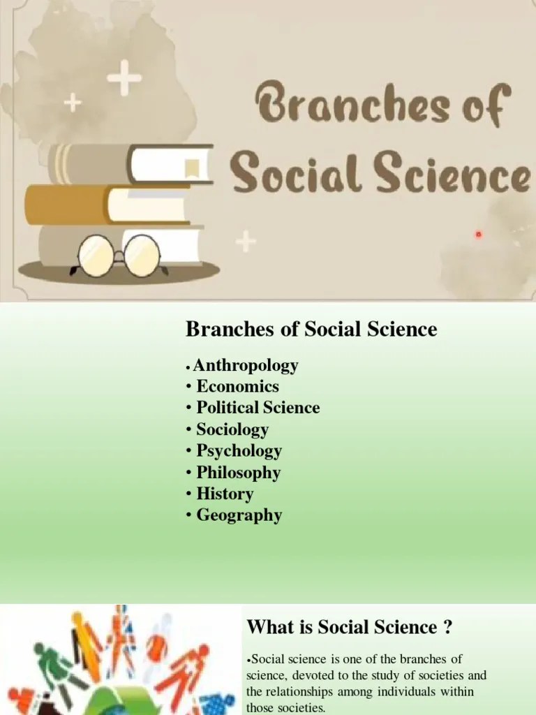 Branches Of Social Science | PDF | Social Sciences | Economics