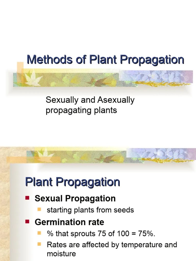 1 Plant - Propagation | PDF