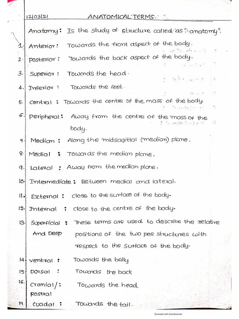 BSC Nursing Students | PDF