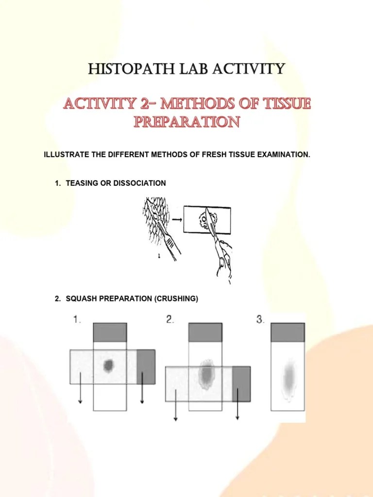 Histopath Lab Activity | PDF