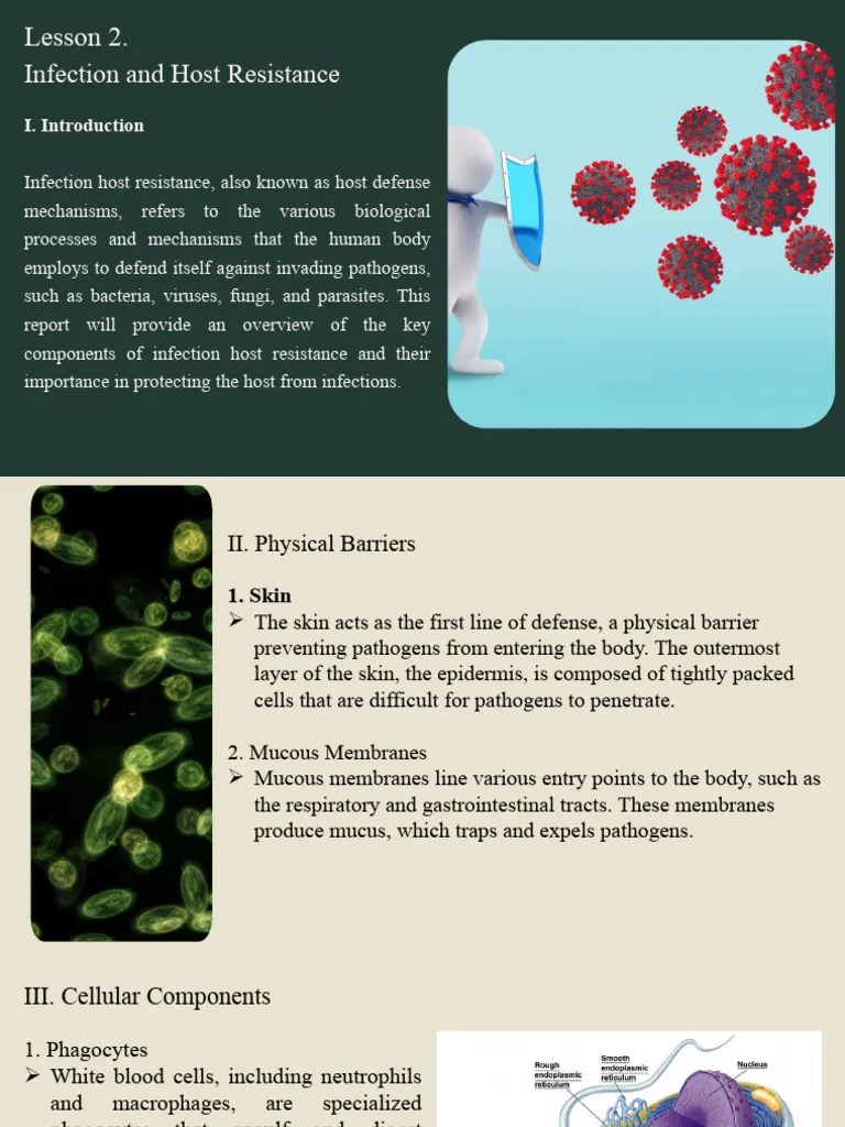 Infection And Host Resistance | PDF | Immune System | Innate Immune System