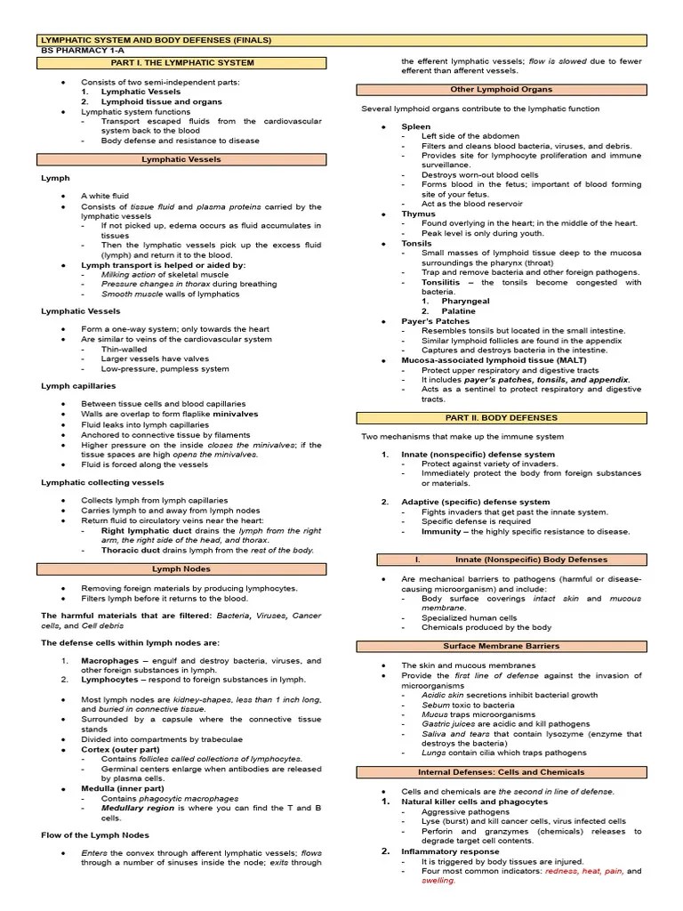 The Lymphatic System | PDF | Lymphatic System | Immune System