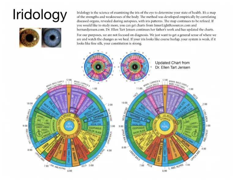 Iridology Chart PDF 1