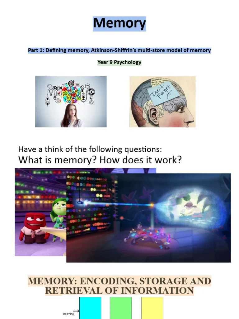 Part 1 Defining Memory, Atkinson-Shiffrin's Multi-Store | PDF | Memory ...