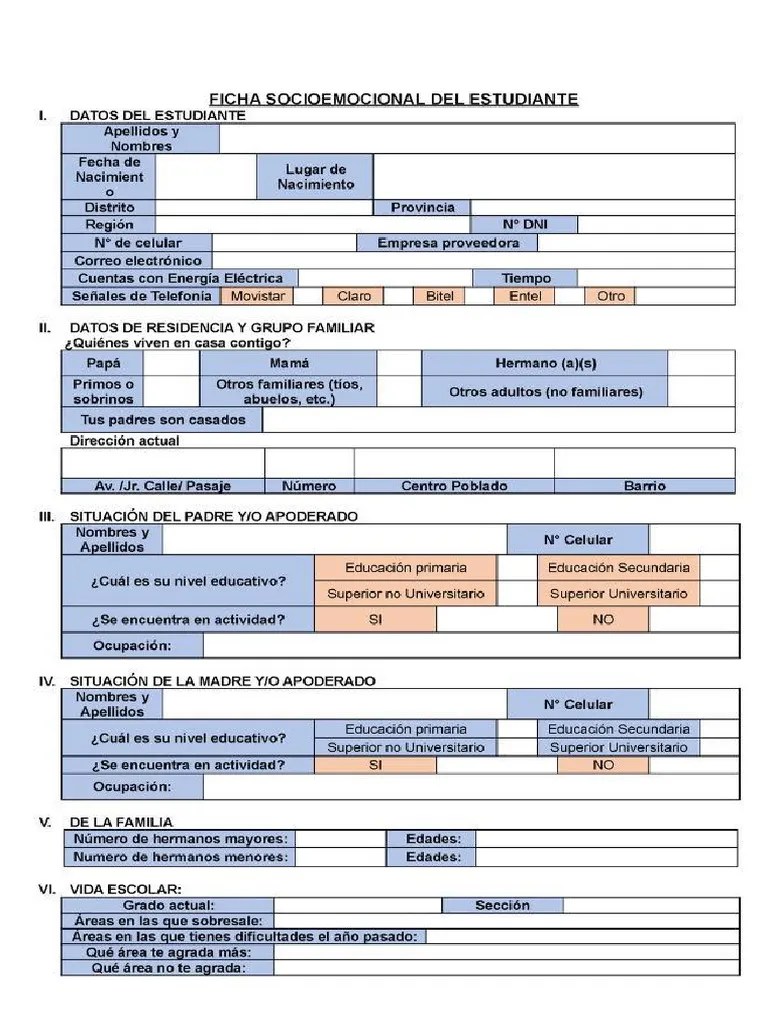 Ficha Socioemocional | PDF