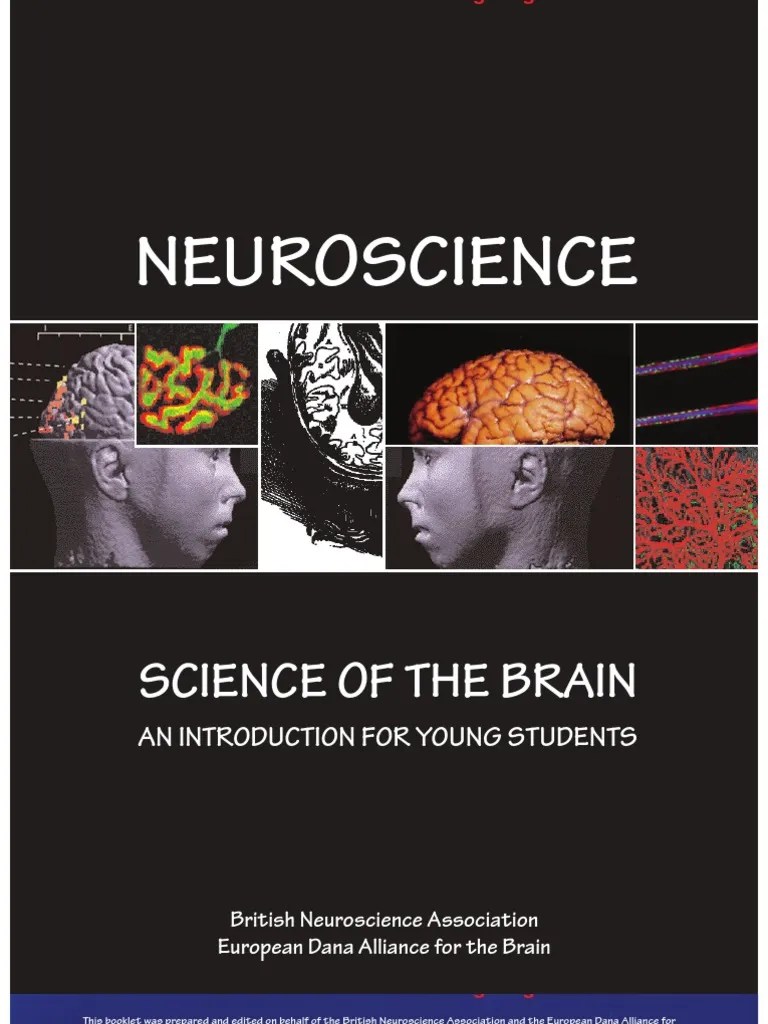 Neuroscience: Science Of The Brain | PDF | Chemical Synapse ...