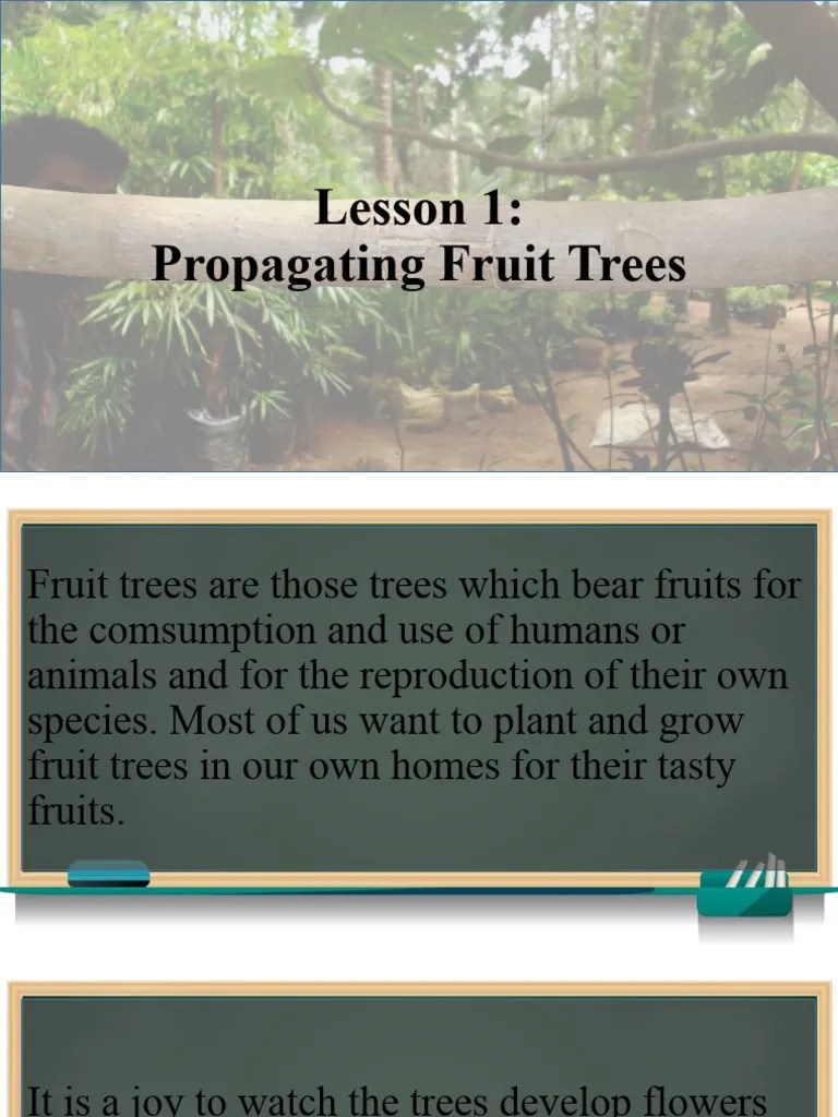 Lesson 1 - Propagating Fruit Trees | Download Free PDF | Trees | Seed