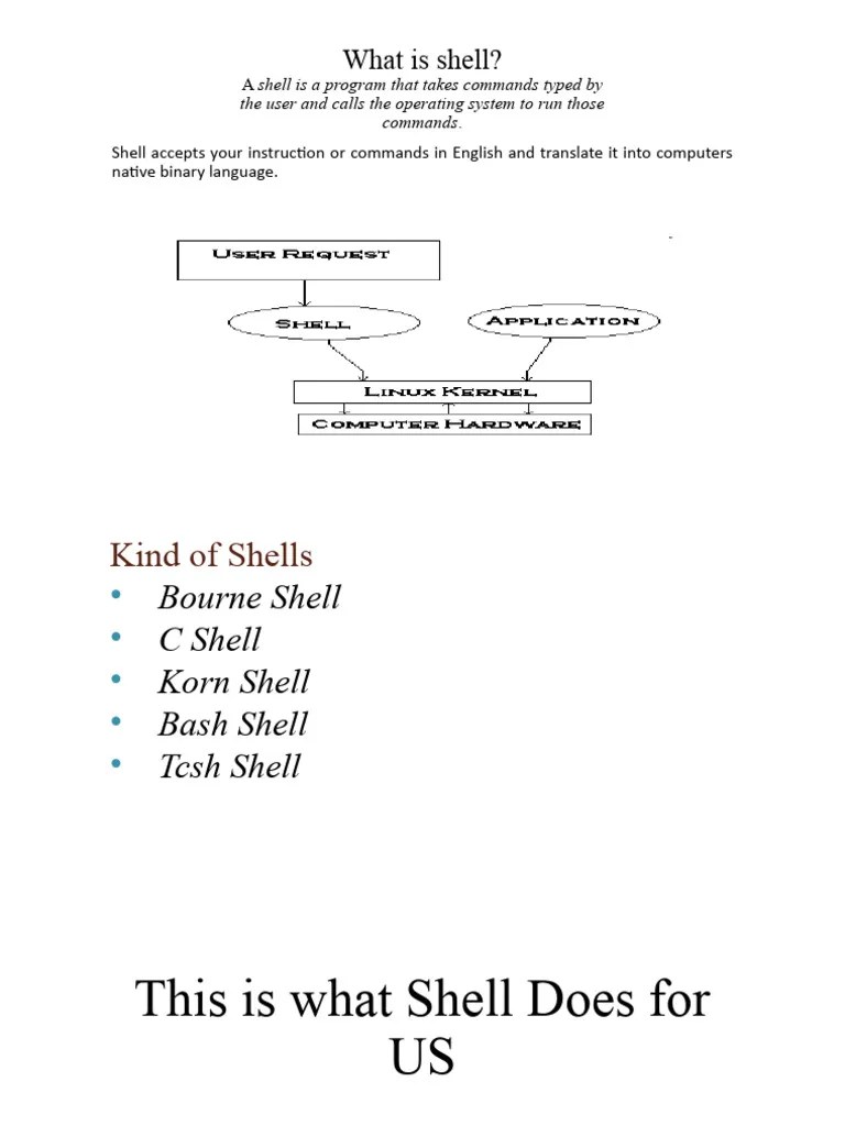 Shell Scripting OS LAB | PDF | Control Flow | Scripting Language