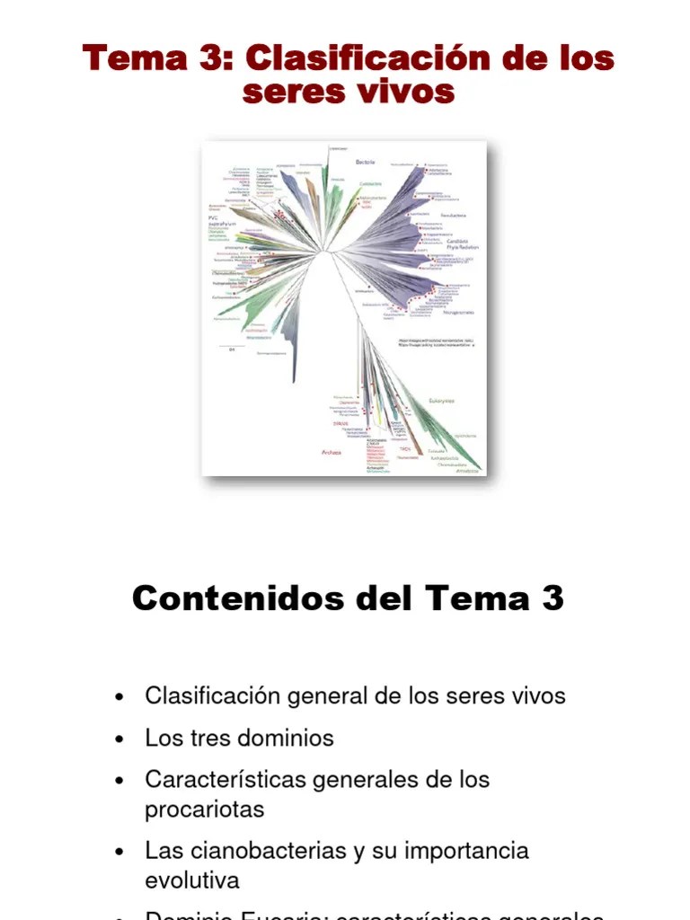 Tema 3 Clasificación De Los Seres Vivos | PDF | Eucariotas | Procariota