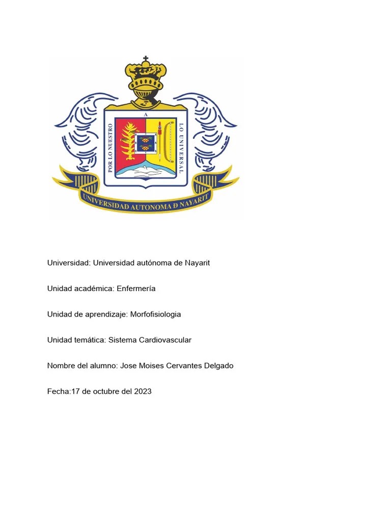 Sistema Cardiovascular | PDF | Corazón | Ventrículo (corazón)