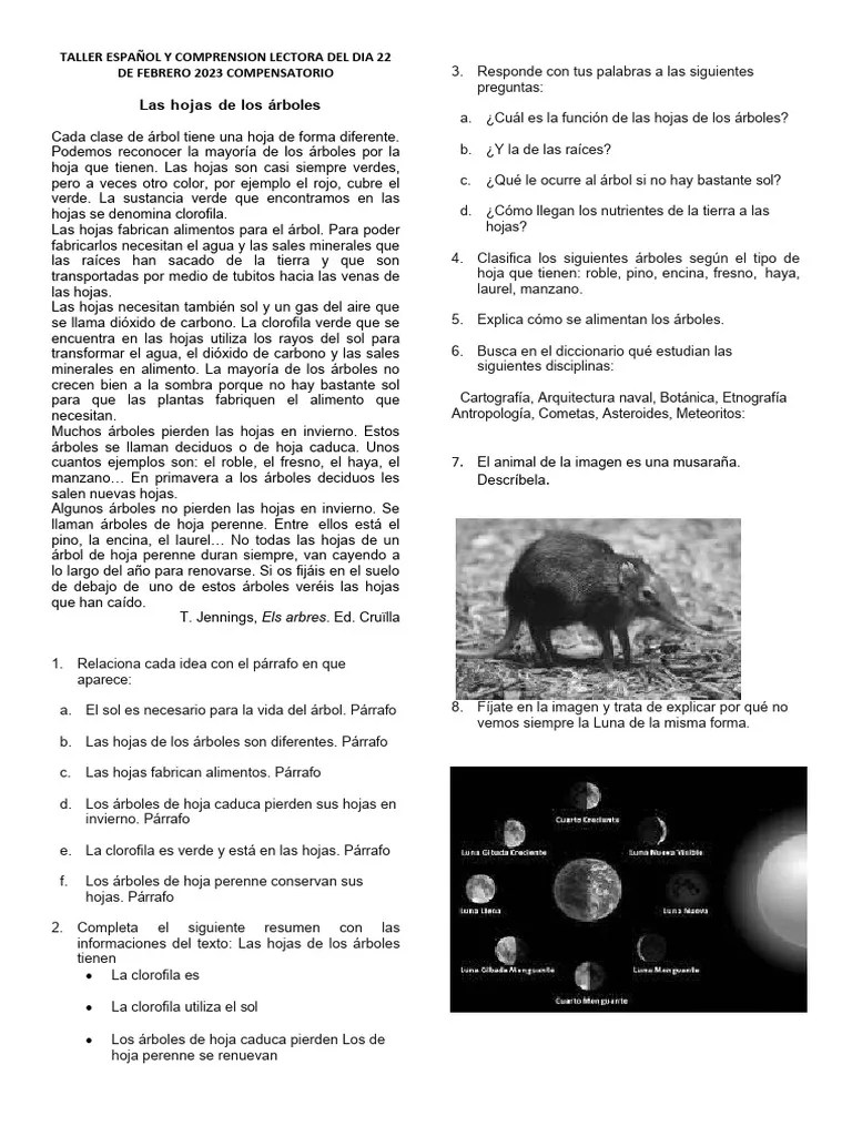TALLER ESPAÑOL Y COMPRENSION LECTORA | PDF | Hoja | Arboles