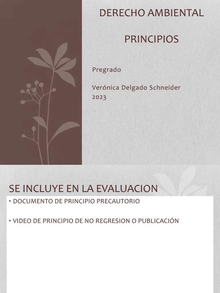 01 2023 1.3. - PPT Principios Derecho Ambiental Def | PDF | Evaluación De Impacto Ambiental ...