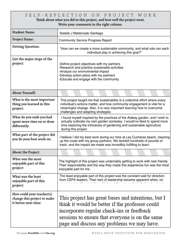 Self Reflection On Project 1 | PDF | Sustainability