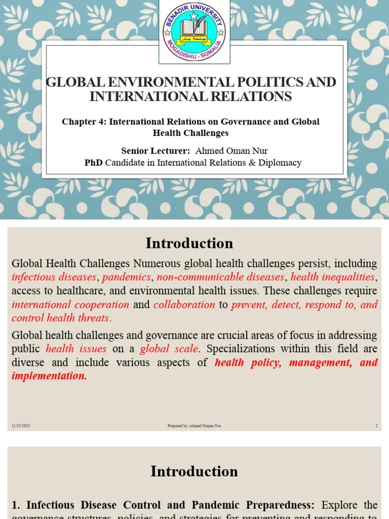 Chapter 4 Global Health Challenges And Governance Specialisations | PDF | Global Health | Governance